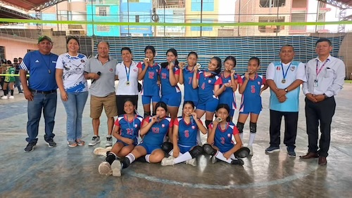 Voley